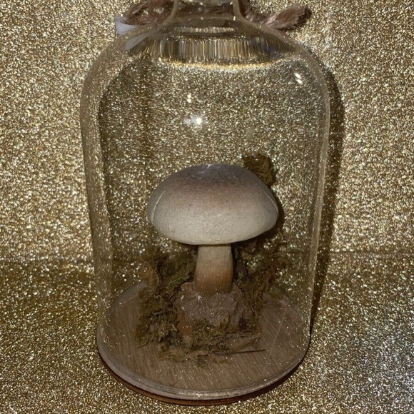 Anthropologie Mushroom Cloche Glass Ornament - Picture 2 of 2